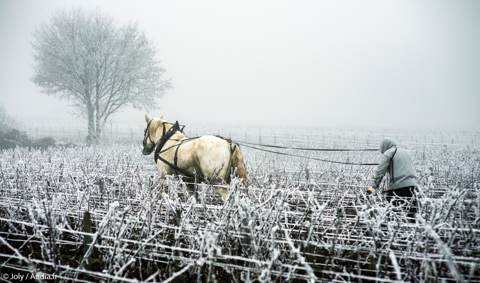 Bourgogne