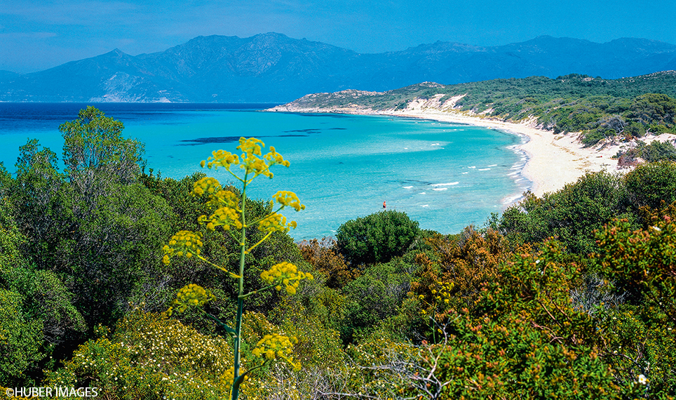 strand Korsika