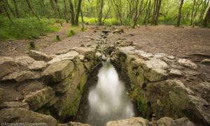 Brocéliande