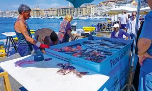 Marseille Fischverkäufer