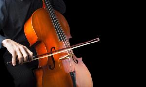 Musikinstrument