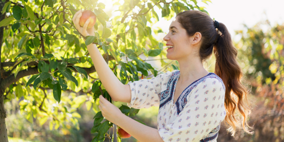 Frau beim Äpfelpflücken