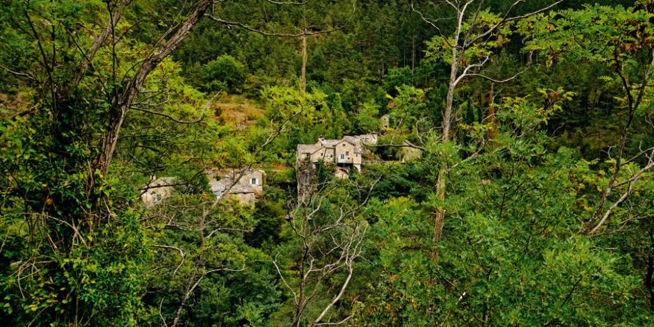 Gorges du Tarn