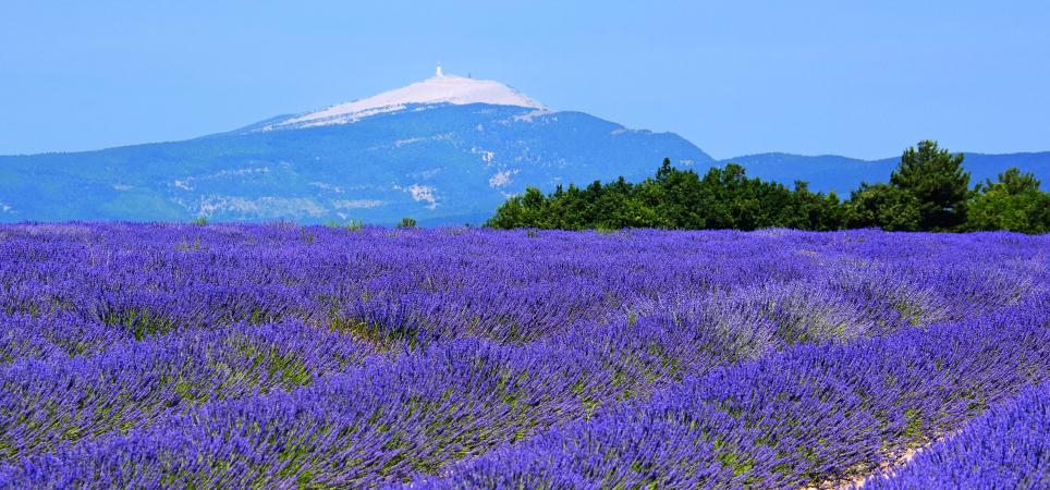 Mont Ventoux