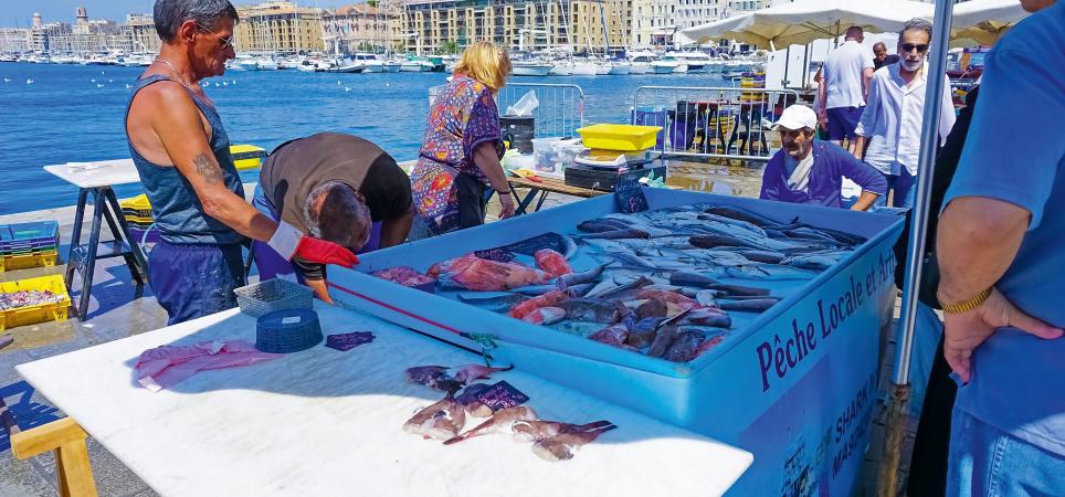 Marseille Fischverkäufer