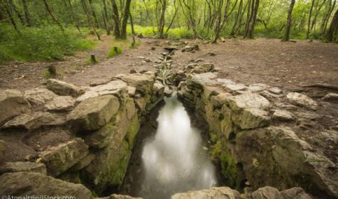 Brocéliande