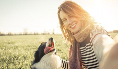 frau und hund
