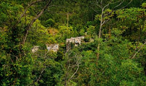 Gorges du Tarn