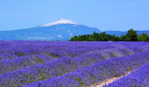 Mont Ventoux